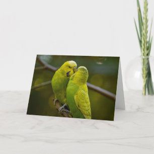 Cute Green Yellow Budgie Birds on a Tree Branch Card