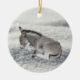 Cute Grey Baby Donkey Foal in Snow Ceramic Ornament