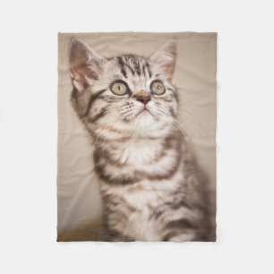 Cute Grey British Short Hair Kitten (Blue Tabby) Fleece Blanket