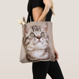 Cute Grey British Short Hair Kitten (Blue Tabby) Tote Bag