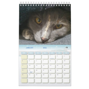 cute grey cat photos 2025 calendar