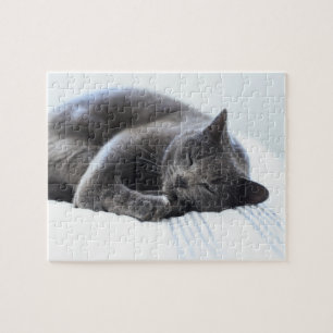Cute Grey Cat Puzzle