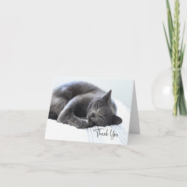Cute Grey Cat Thank You Card (Front)