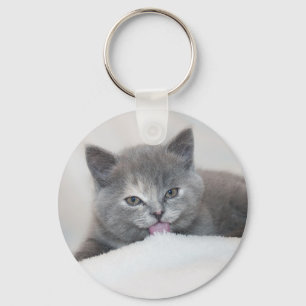 Cute Grey Cat Tongue Out! Key Ring