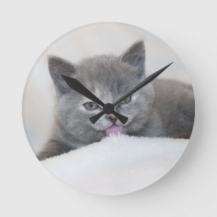 Cute Grey Cat Tongue Out! Round Clock
