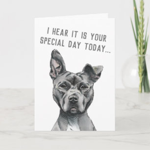 Cute Grey Dog Funny Happy Birthday Card