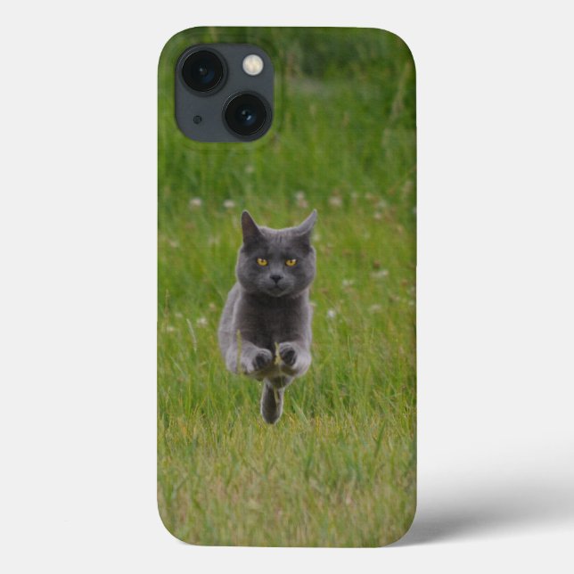 Cute Grey Farm Cat Racing Across Green Grass Photo Case-Mate iPhone Case (Back)