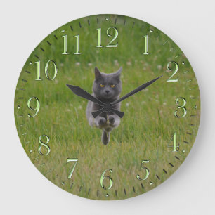 Cute Grey Farm Cat Racing Across Green Grass Photo Large Clock