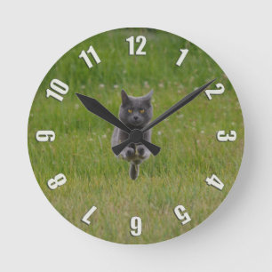 Cute Grey Farm Cat Racing Across Green Grass Photo Round Clock