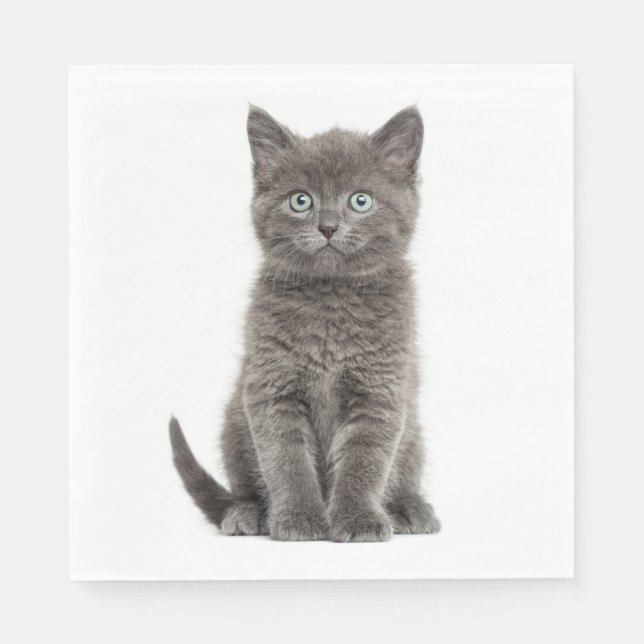 Cute Grey Kitten Grey Kitty Cat Party Napkins (Front)