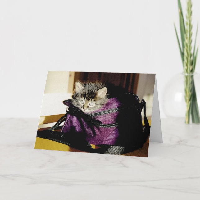 Cute Grey Kitten In Purse Thinking Of You Custom Card (Front)