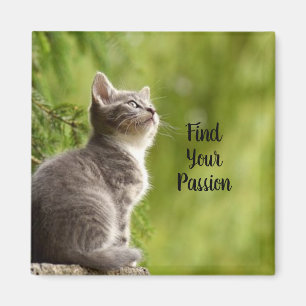 Cute Grey Kitten Magnet