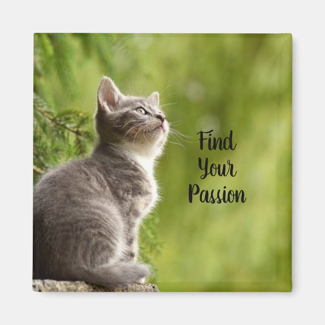 Cute Grey Kitten Magnet (Front)