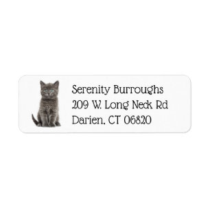 Cute Grey Kitty Cat Lover Grey Kitten Return Address Label