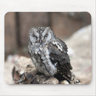 Cute Grey Owl Mouse Pad
