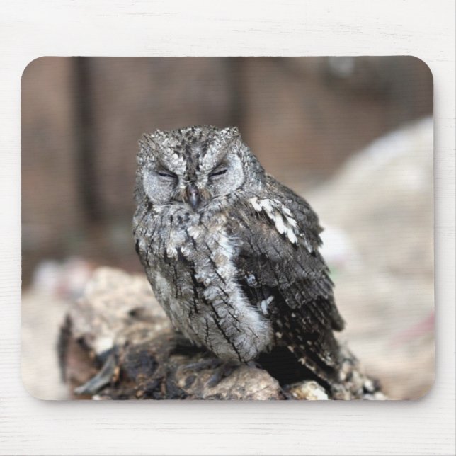 Cute Grey Owl Mouse Pad (Front)