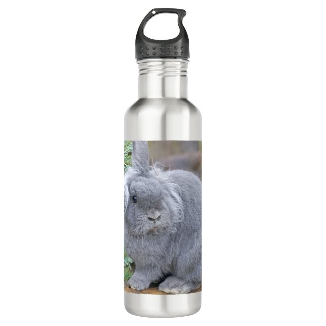 Cute grey rabbit   710 ml water bottle (Front)
