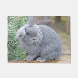 Cute grey rabbit doormat