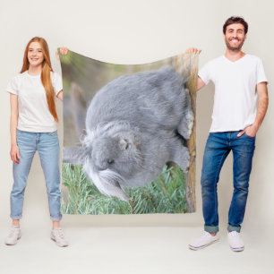 Cute grey rabbit     fleece blanket