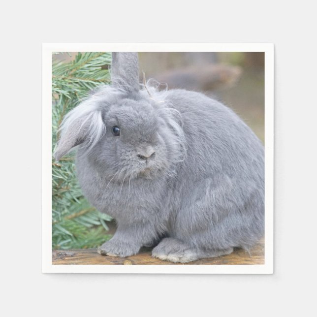 Cute grey rabbit   napkin (Front)