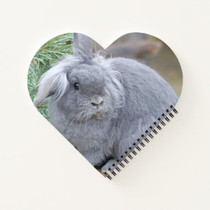 Cute grey rabbit   notebook