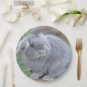 Cute grey rabbit paper plate