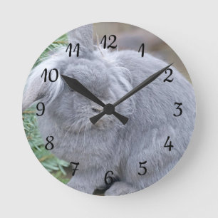 Cute grey rabbit    round clock