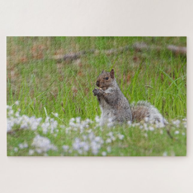 Cute Grey Squirrel Green Grass Bluetts Jigsaw Puzzle (Horizontal)