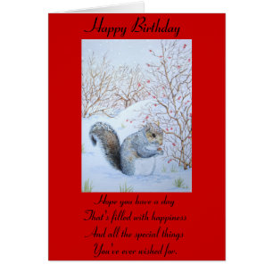cute grey squirrel snow scene wildlife