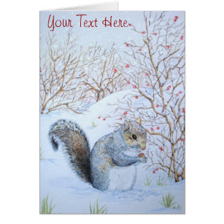 cute grey squirrel snow scene wildlife