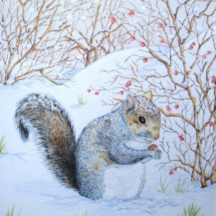 cute grey squirrel snow scene wildlife envelope