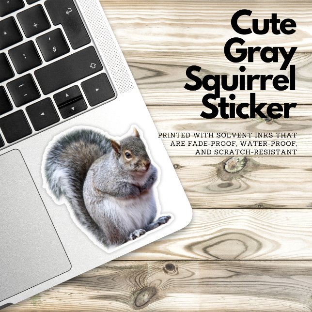 Cute Grey Squirrel Sticker (gray squirrel sticker, cute animal sticker, nature lover sticker, wildlife sticker, vinyl sticker, w)