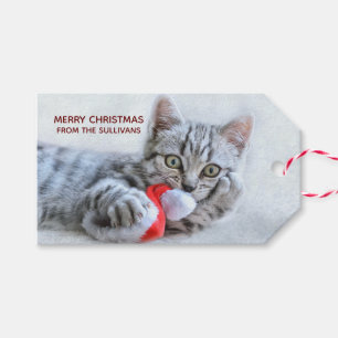 Cute Grey Tabby Cat Christmas Hat Xmas Gift Tags