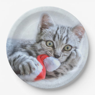 Cute Grey Tabby Cat Christmas Hat Xmas Paper Plate