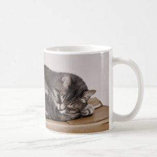 Cute Grey Tabby Cat Sleeping On Box  Coffee Mug