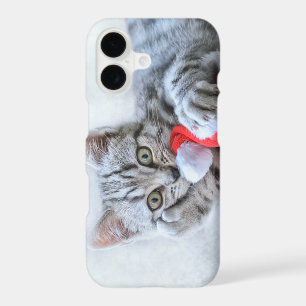 Cute Grey Tabby Cat w/ Christmas Hat Xmas