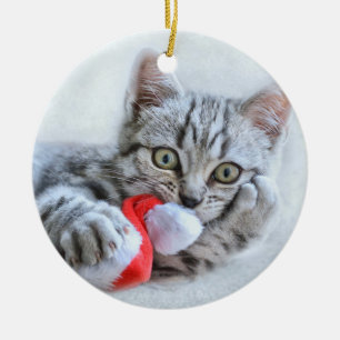 Cute Grey Tabby Cat w/ Christmas Hat Xmas Ceramic Ornament