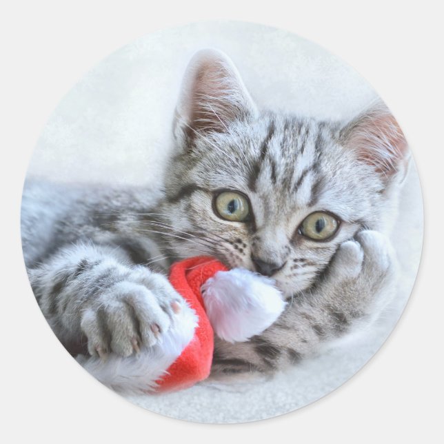 Cute Grey Tabby Cat w/ Christmas Hat Xmas Classic Round Sticker (Front)