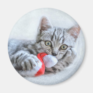 Cute Grey Tabby Cat w/ Christmas Hat Xmas Magnet