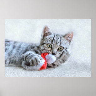 Cute Grey Tabby Cat w/ Christmas Hat Xmas Poster