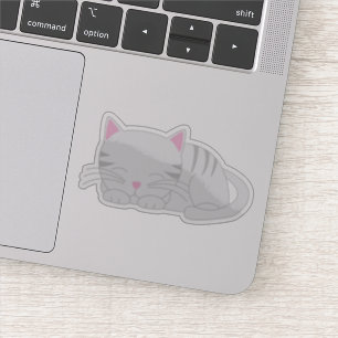 Cute Grey Tabby Kitten