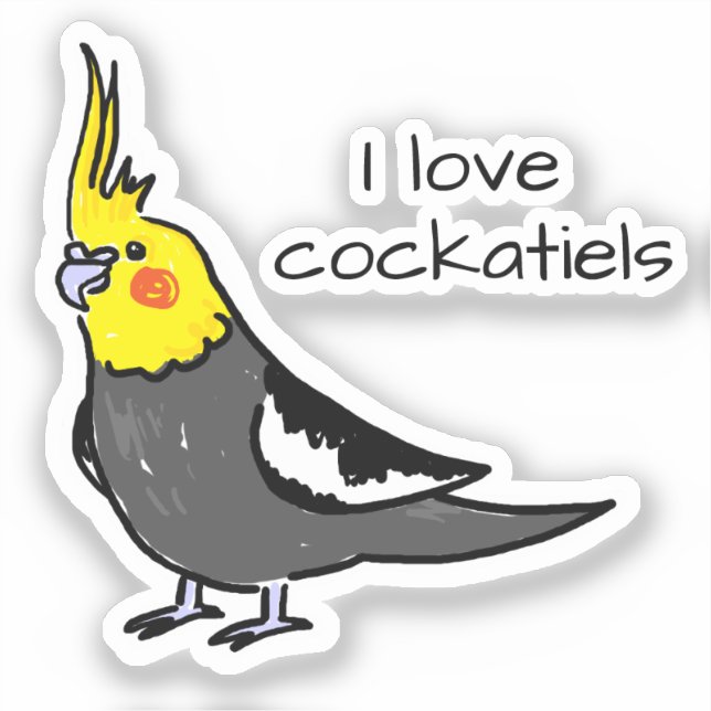 Cute Grey Yellow Cockatiel Bird (Front)