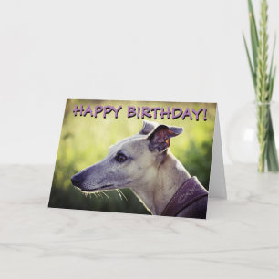 Cute greyhound customised greetings card