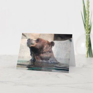 Cute Grizzly Bear playing in the Water Thank You Card