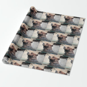 Cute Grizzly Bear Playing in the Water Wrapping Paper