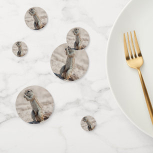 Cute ground sqirrel confetti