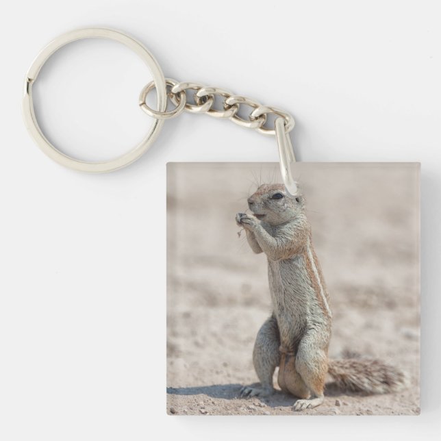 Cute ground sqirrel key ring (Front)