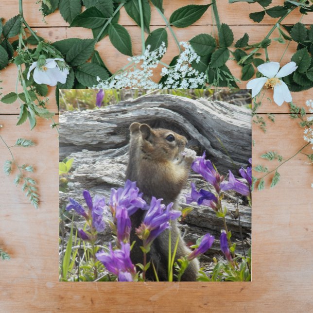 Cute Ground Squirrel and Purple Wildflowers Ceramic Tile (In Situ)