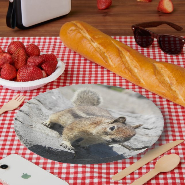 Cute Ground Squirrel Nature Photo Paper Plate (Picnic)