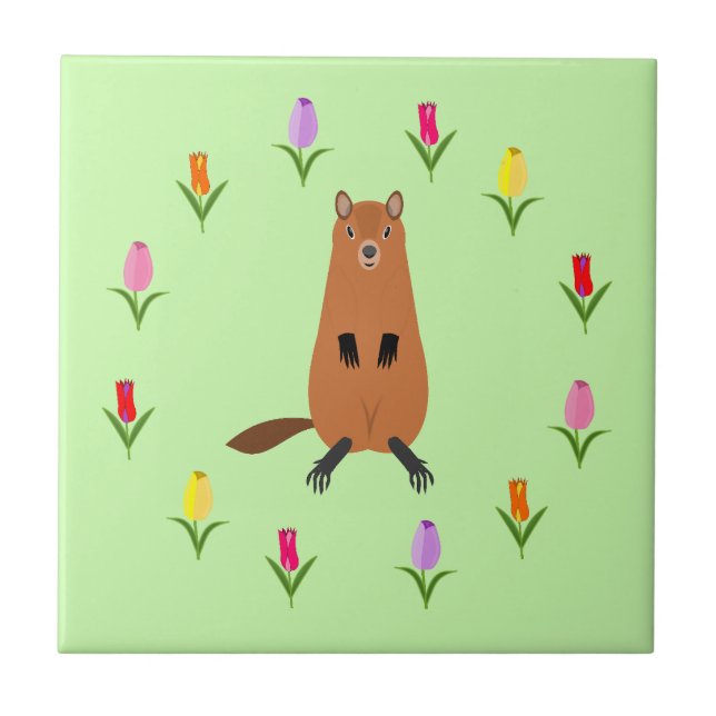 Cute Groundhog and Tulip Flowers Ceramic Tile (Front)